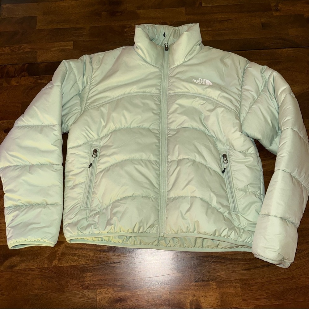 The North Face Misty Green 2000 puffer